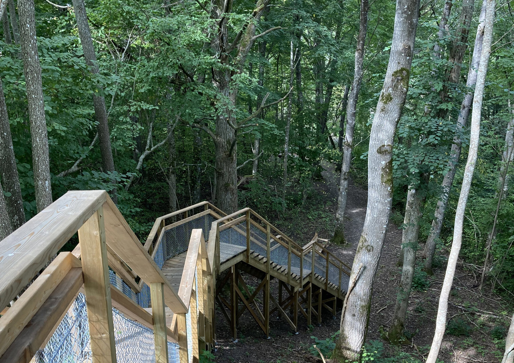 En trätrappa med räcken i en skog.