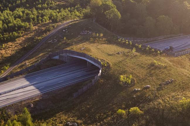 Luftbild av motorväg med tunnel omgiven av skog och fält.