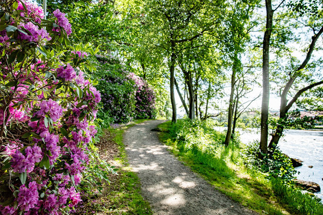 Doktorspromenaden Falkenberg