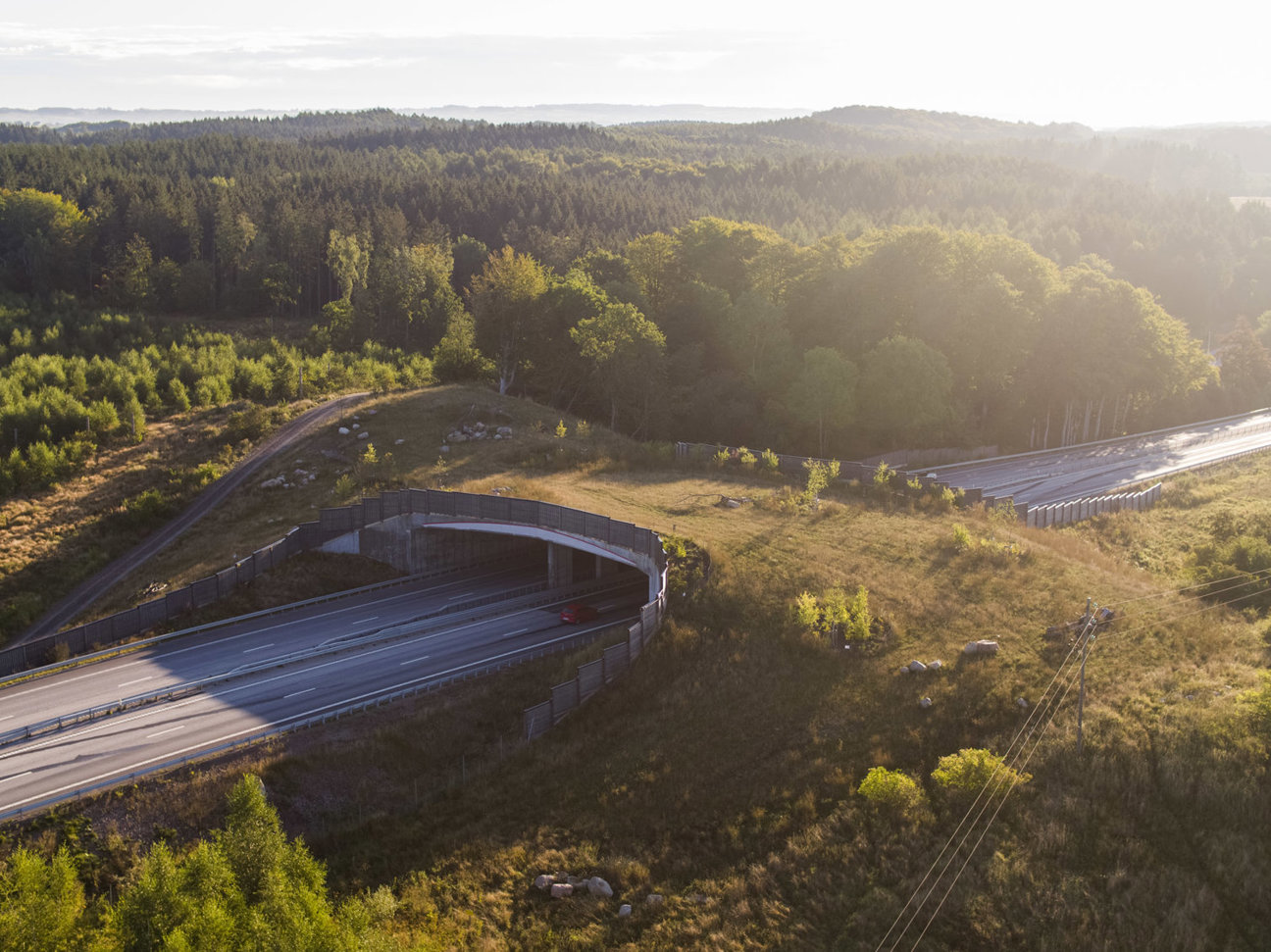 Landskap med väg, tunnel och skog.