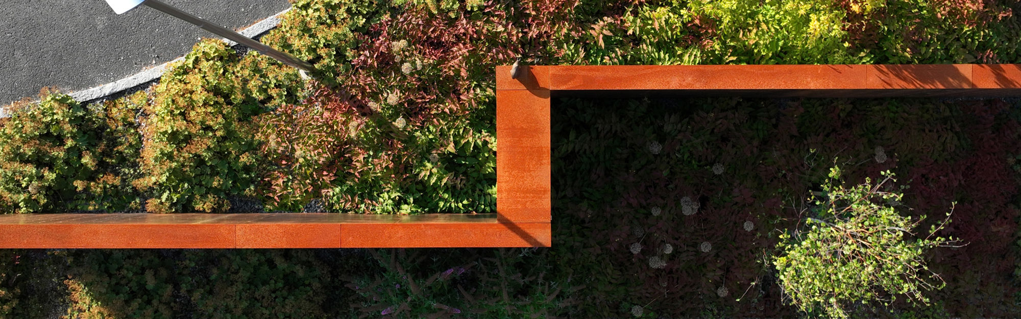 Överkant av gröna och rödbruna växter med bruna metallstrukturer och del av asfaltväg i hörnet.