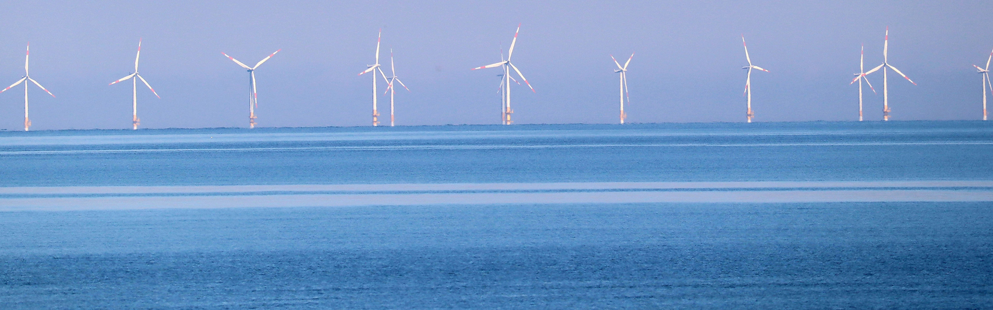 Vindkraftverk utspridda över havet under klar himmel.