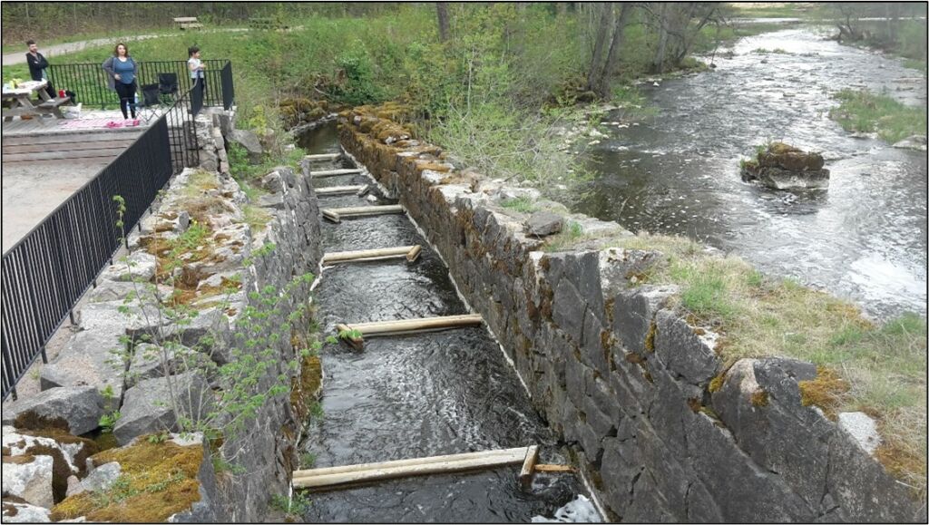 Fiskvandringslösning