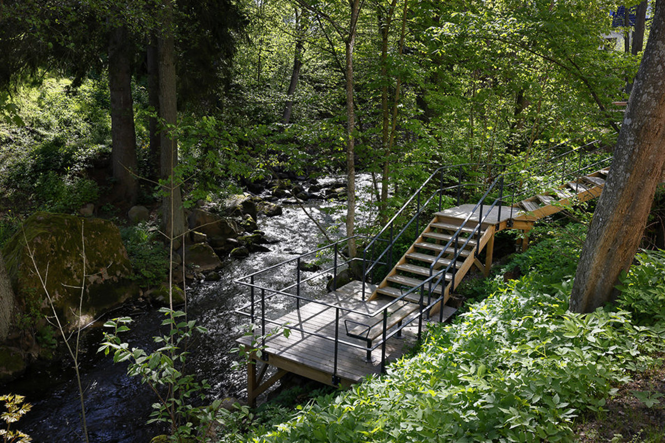 En träbro med trappor över en bäck i en skog med gröna träd och buskar.