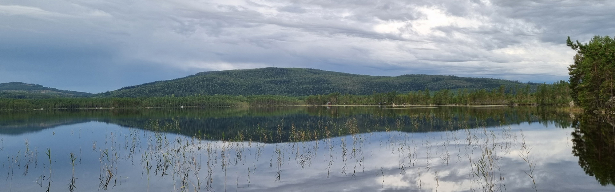 En lugn sjö som speglar molnigt himmel och skogklädda kullar.
