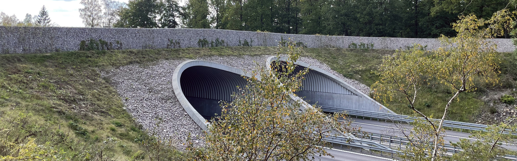 En väg med två tunnelingångar omgiven av grus, gräs och träd.