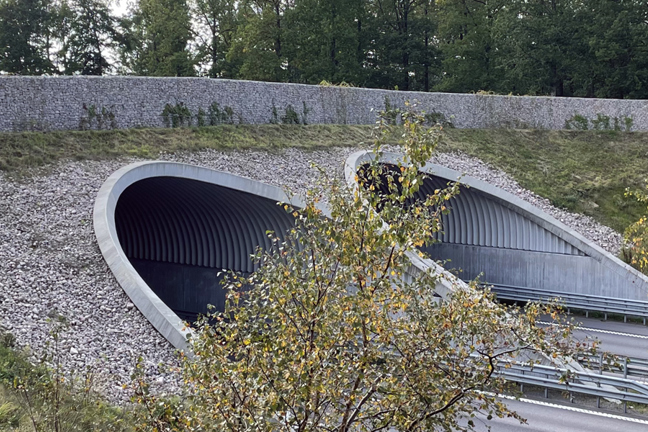 En väg med två tunnelingångar omgiven av grus, gräs och träd.