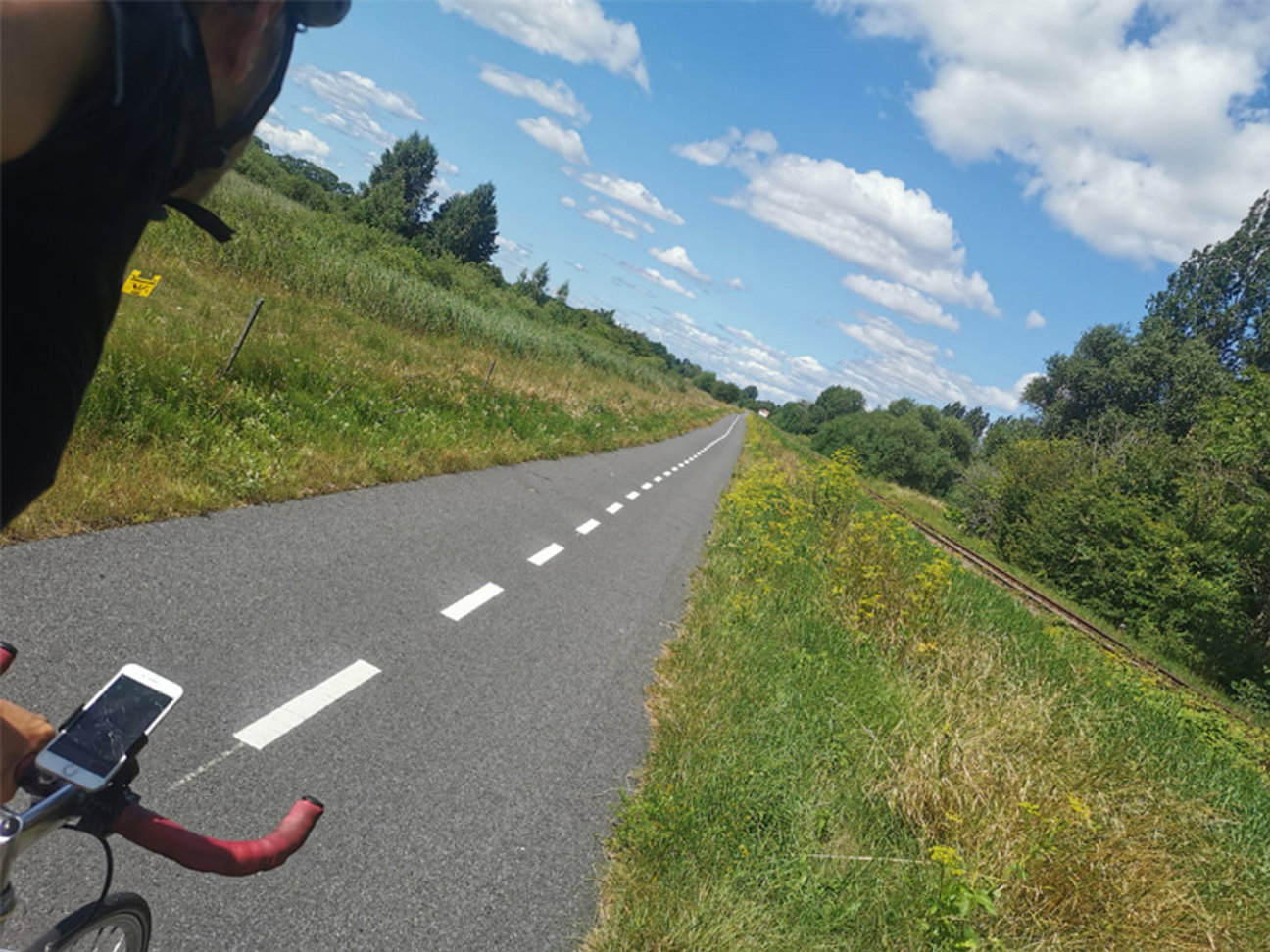 En cykelväg med vita streck, gräs och träd på sidorna, en persons arm vid cykelstyr med en telefon.